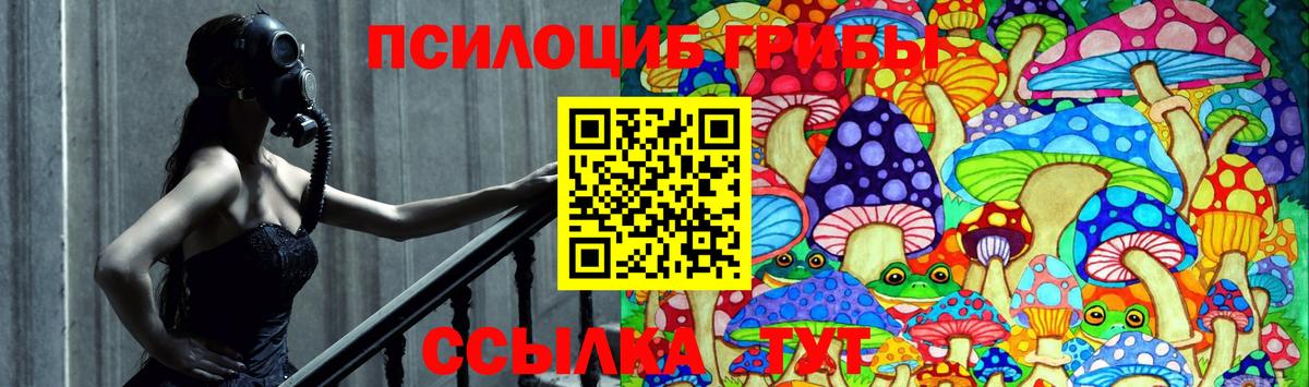 Псилоцибиновые грибы Magic Shrooms  наркошоп  Вход с VPN  Нерюнгри  Галлюциногенные грибы MAGIC MUSHROOMS 